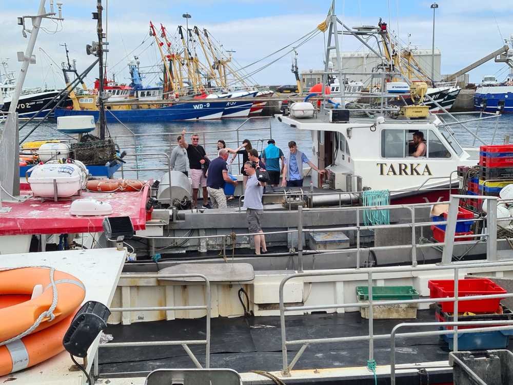 Kilmore Quay Seafood Festival