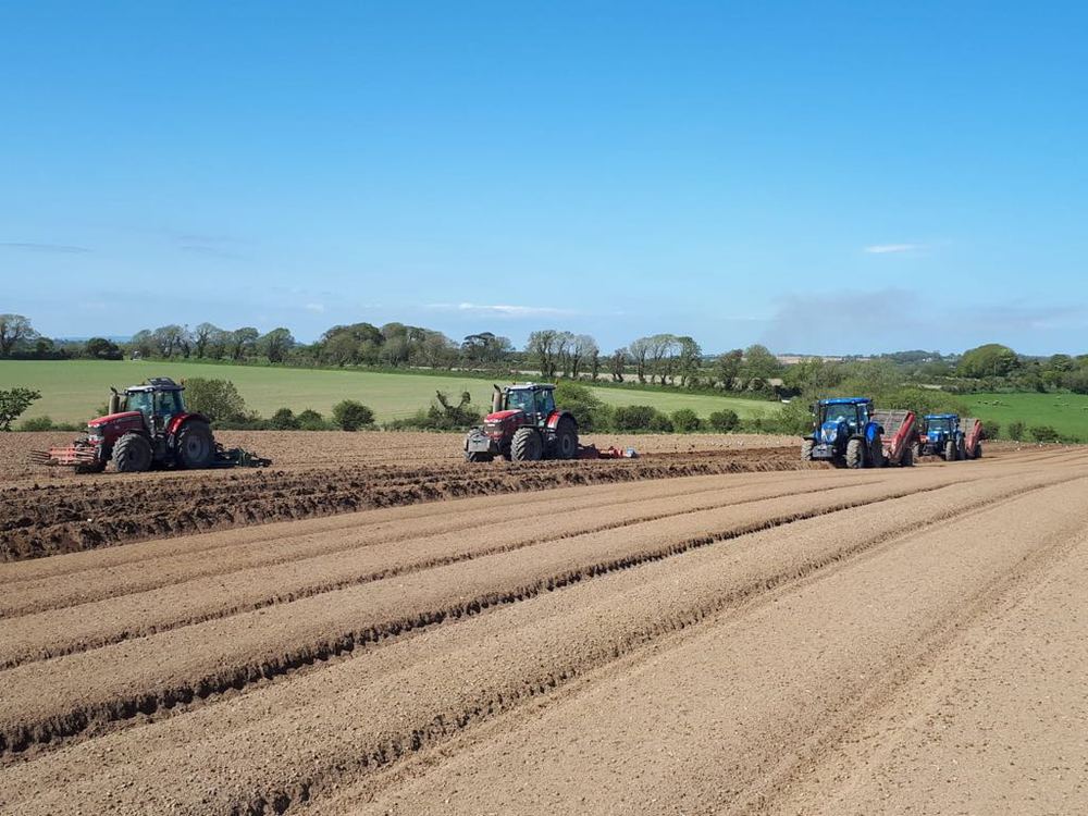 Irish Potato Glen Fuels Kilmore Quay