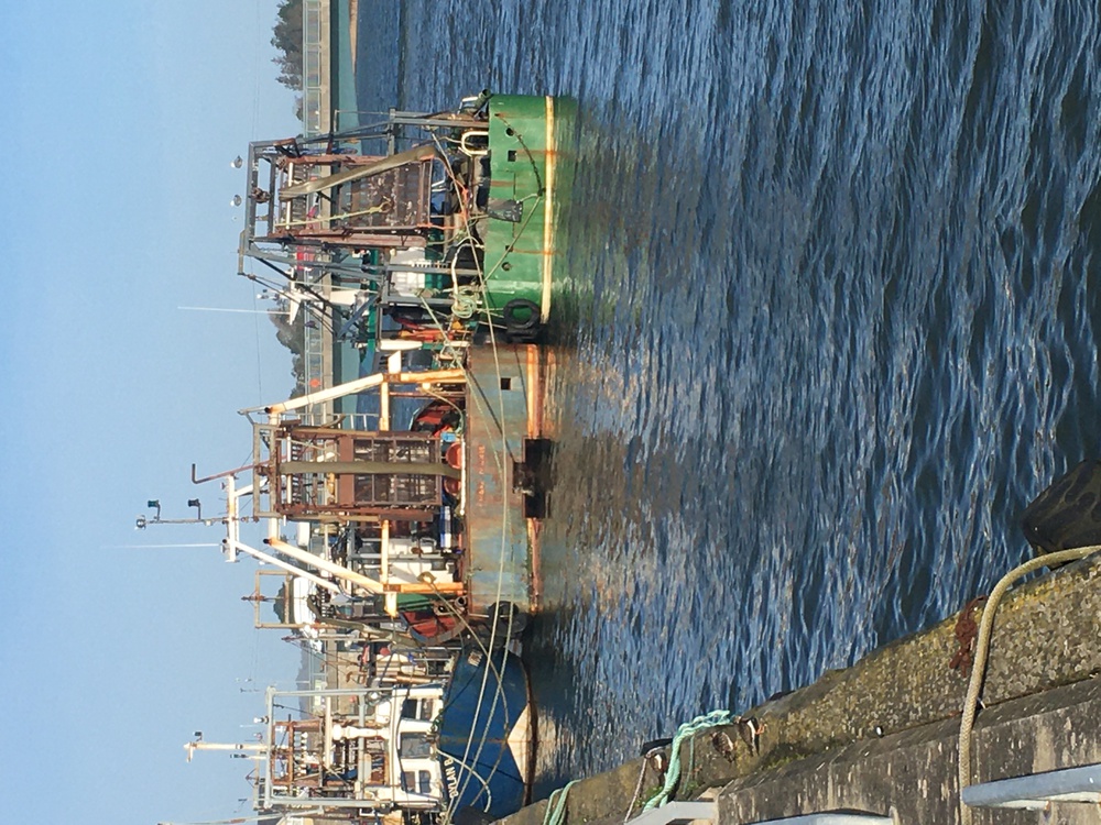 Wexford Harbour