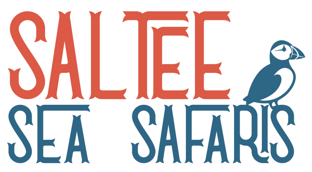 Saltee Sea Safaris